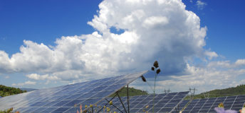 solar panels