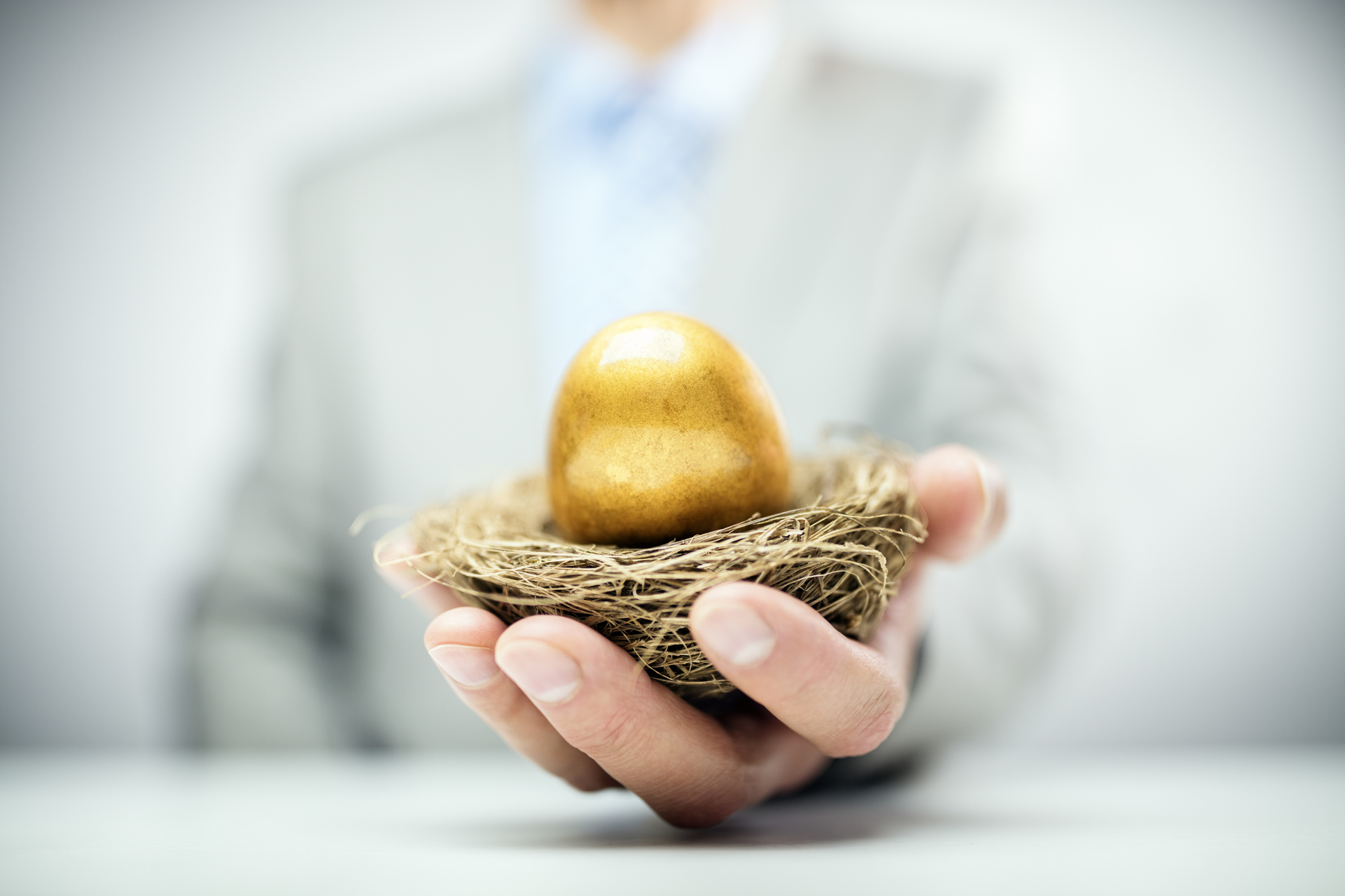golden egg in a nest