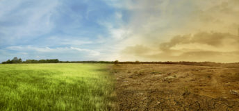 climate change