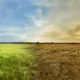 climate change
