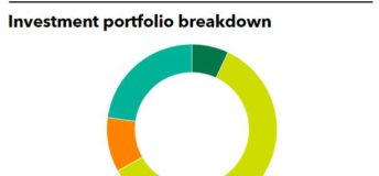 Investment portfolio breakdown of CWMAA