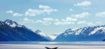 Alaska