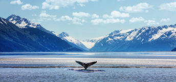 Alaska